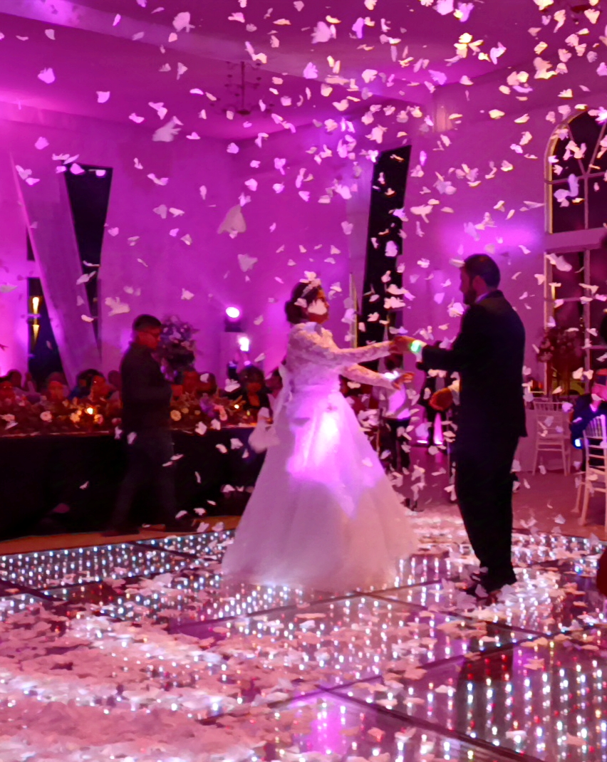 Disparos de papel o mariposa